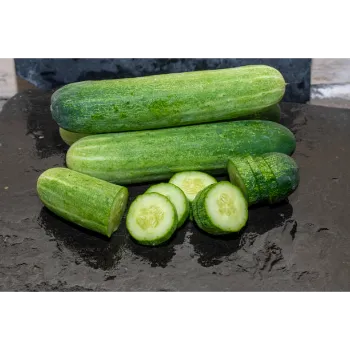 Organic Cucumber